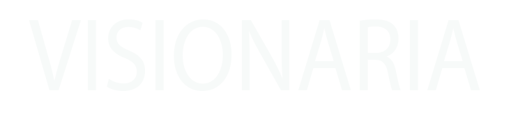 PDV Ebook 12 VISIONARIA